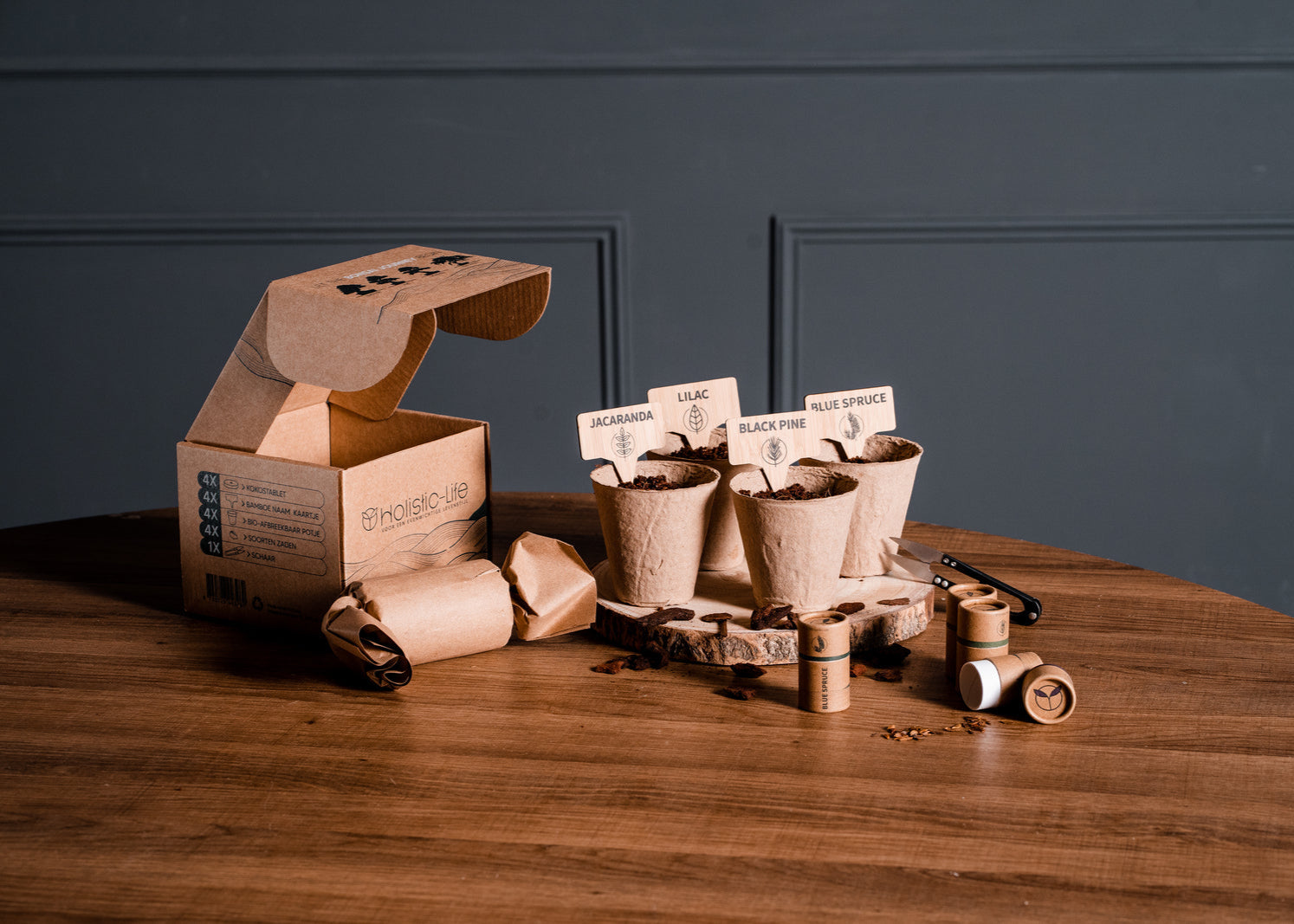 Bonsai starters kit met uitgebreide instructies.