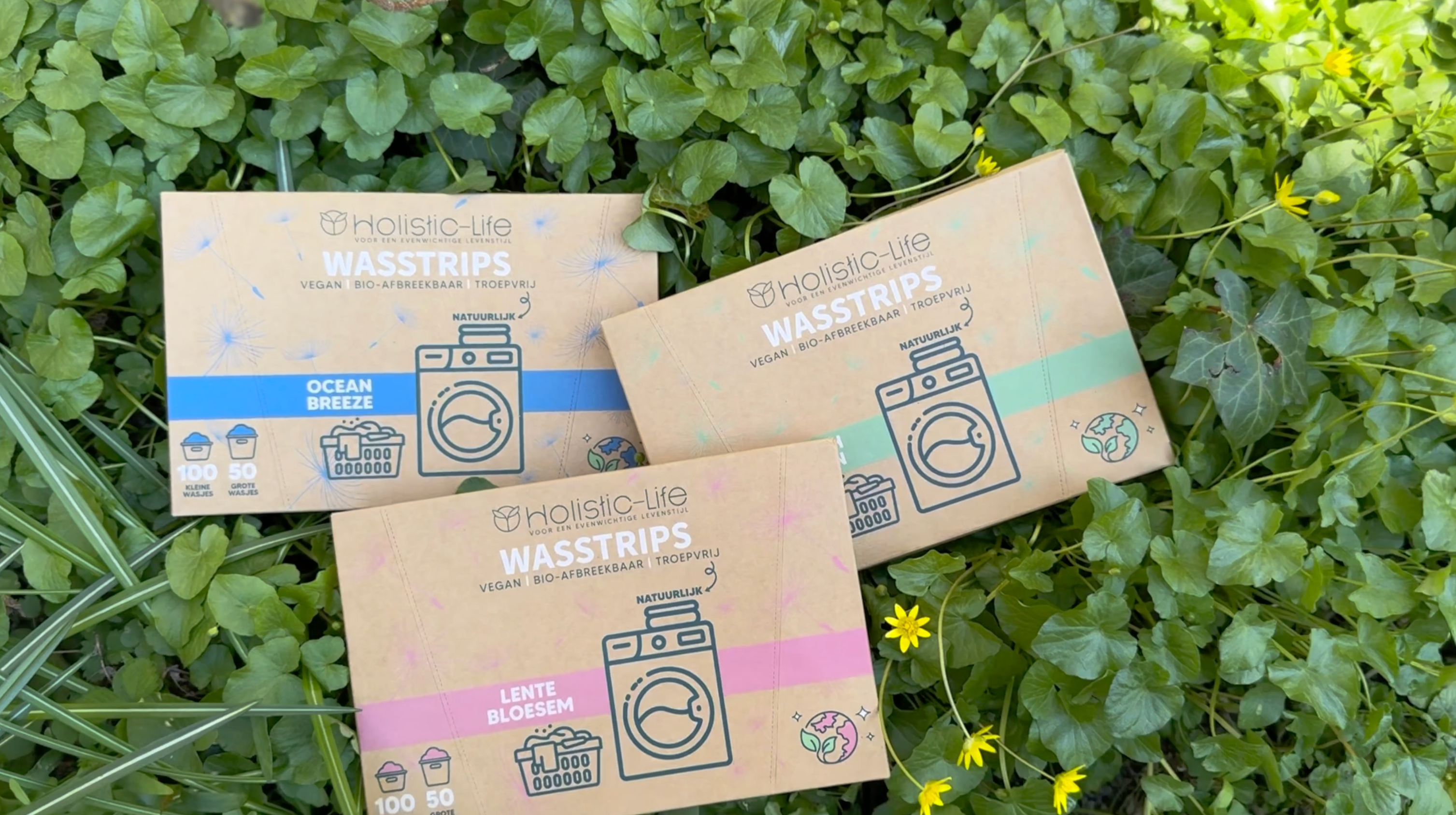 Koop nu voordelig dit wasstrips proefpakket.