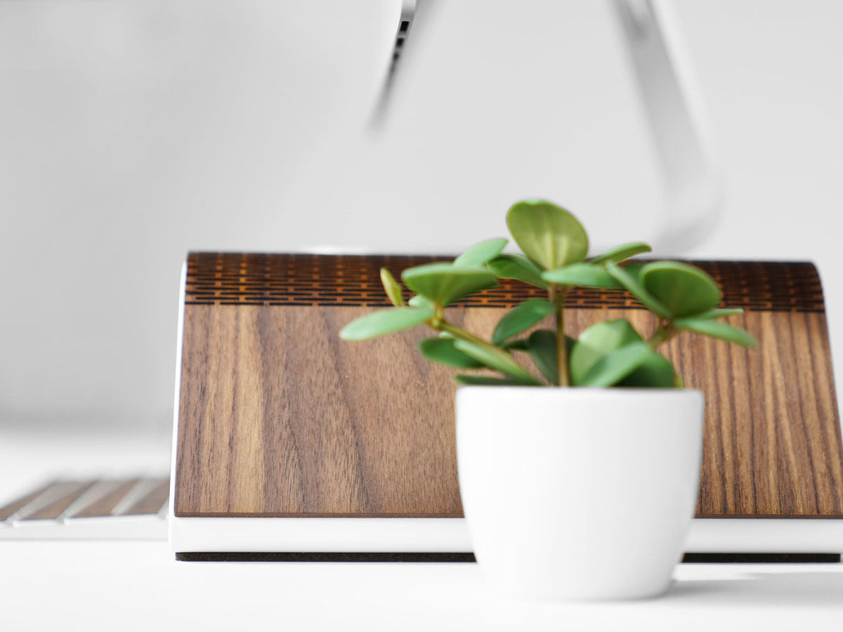 RAUW Monitor Stand - iMac Stand