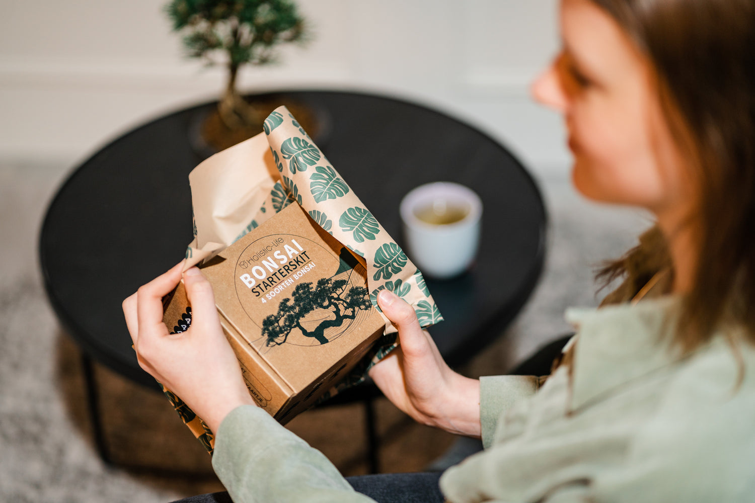 Bonsai voor beginners: alles wat je wilt weten over en Bonsai starterskit