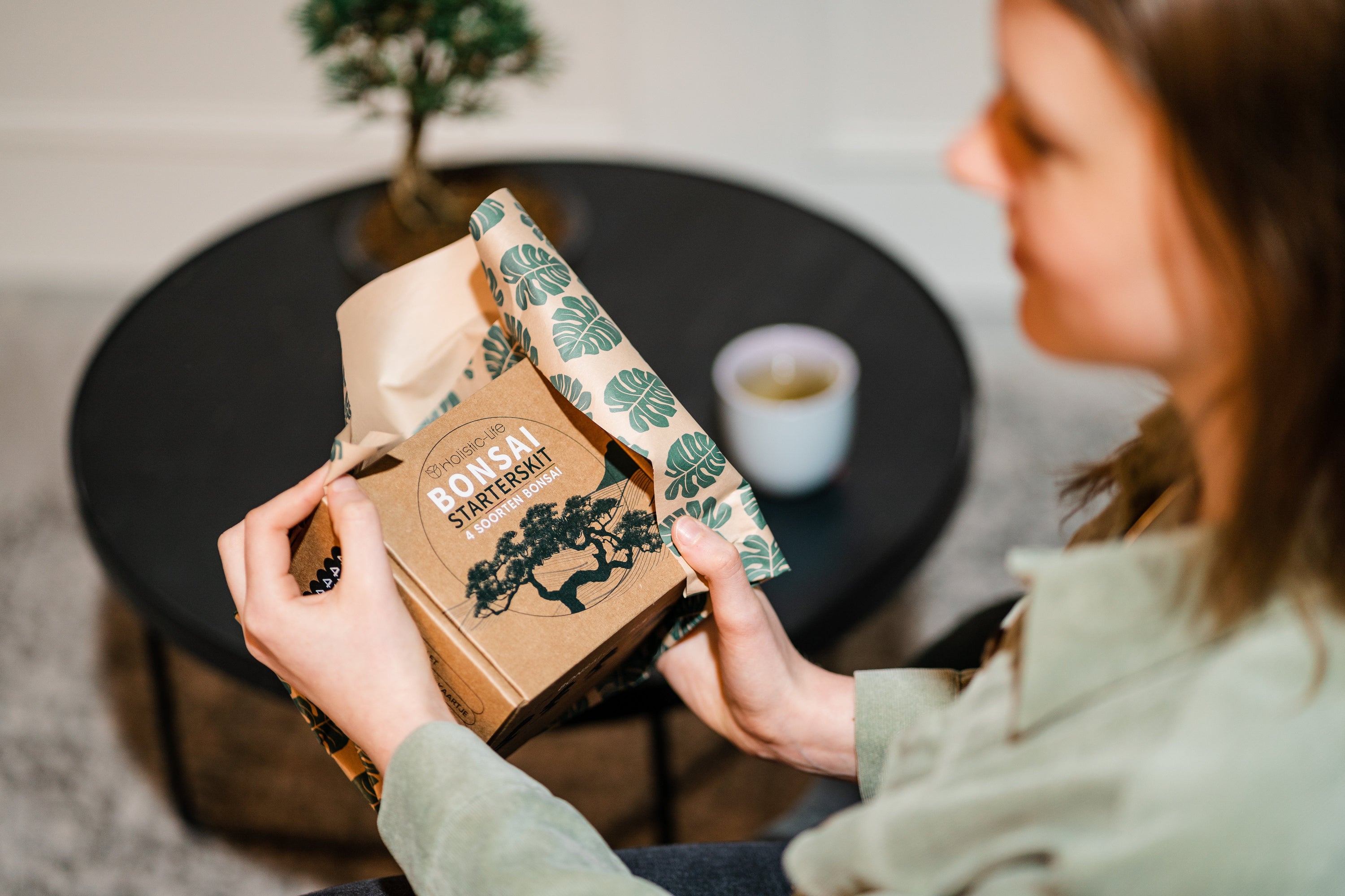 Bonsai voor beginners: alles wat je wilt weten over en Bonsai starterskit