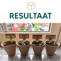 Eenvoudige en complete Bonsai Starter Kit voor elke tuinliefhebber.