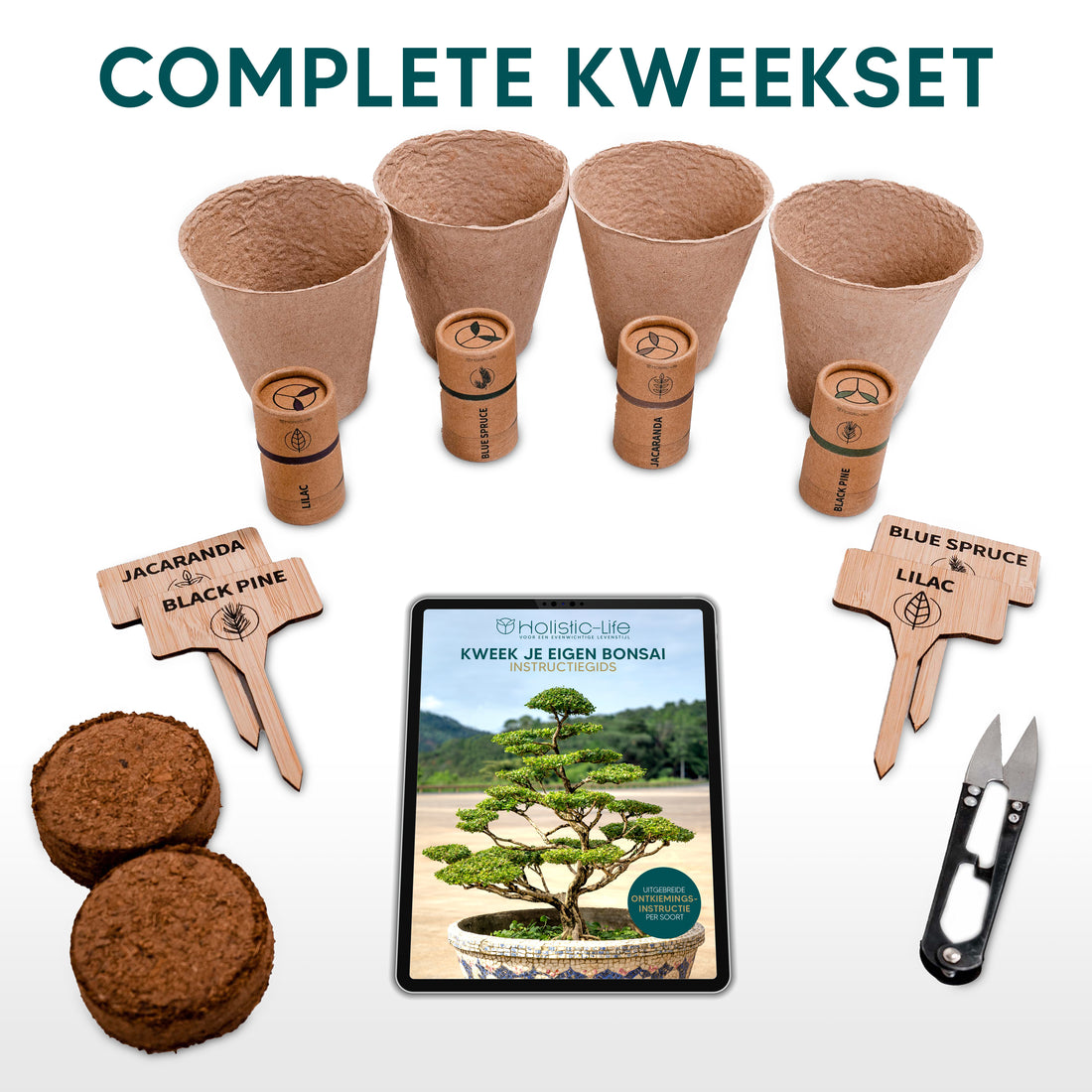 Complete Bonsai Starter Kit, perfect voor beginners.