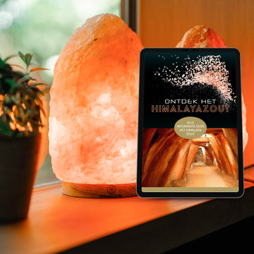 Bij de himalaya zoutlamp krijg je er ook een gratis e-book bij.